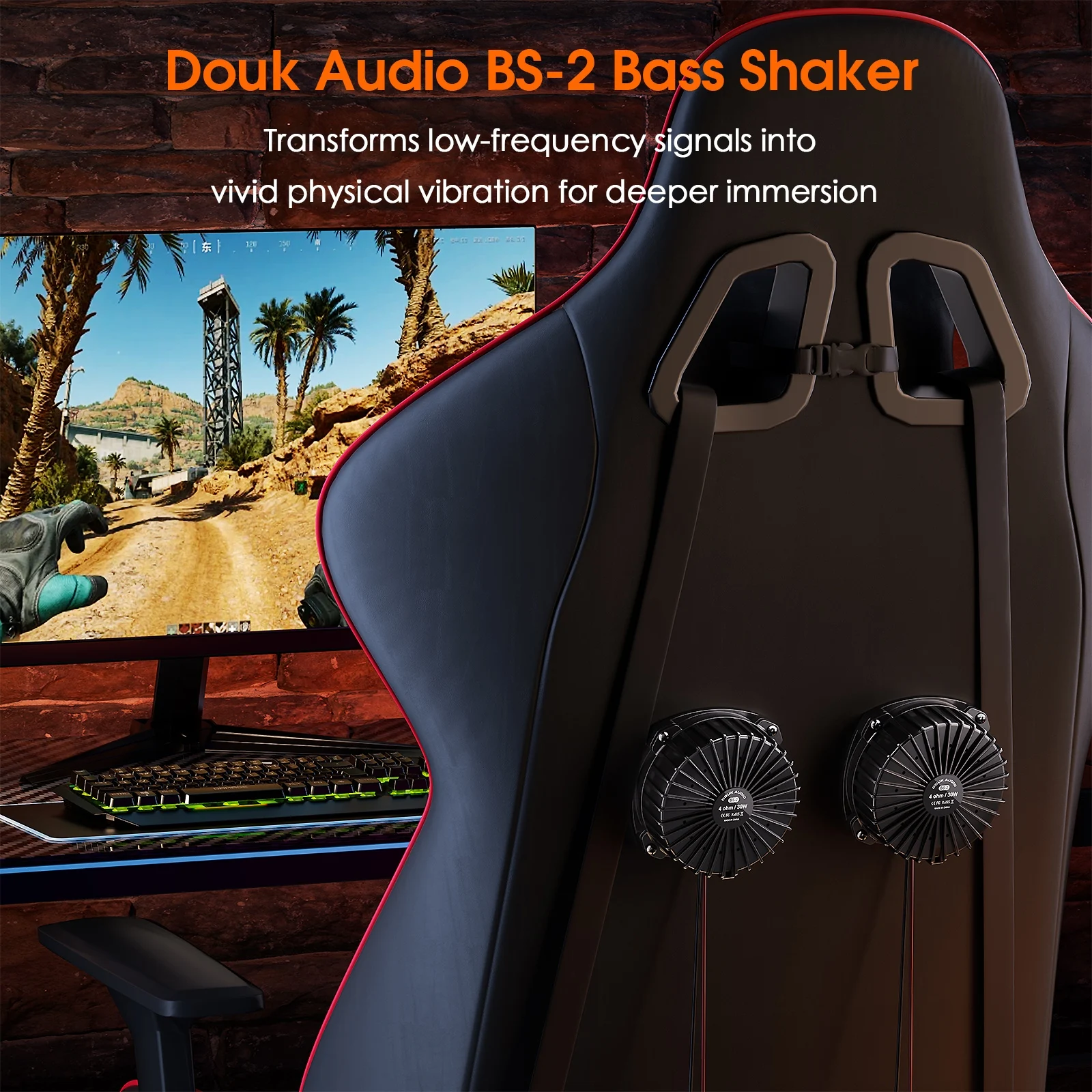 Douk Audio BS-2 30W 4Ω Bass Sh - Home Cinema Speakers recensione e prezzo